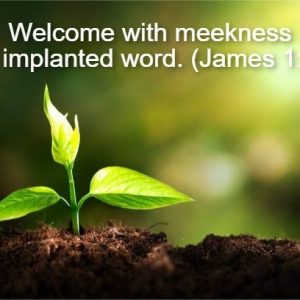 August 29th Worship Service
