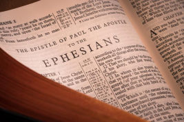 A New Humanity in Christ