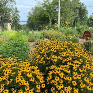 Garden of Eden – September 10th Worship Service
