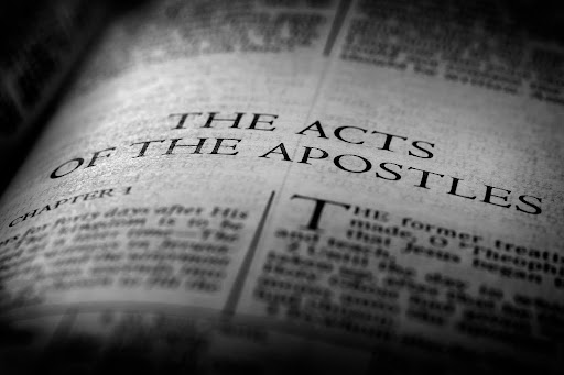 The Witness of Women The Witness of Women